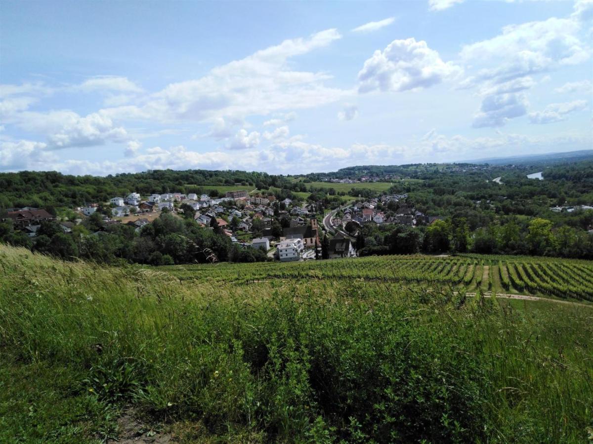 Ferienwohnung Wisser- Fernblick Bad Bellingen Zewnętrze zdjęcie