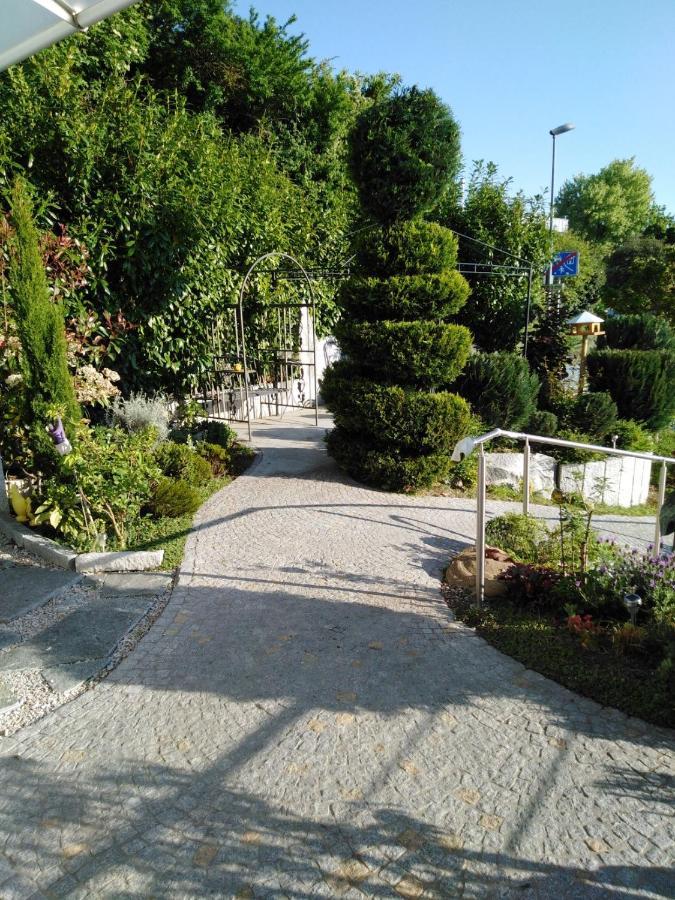 Ferienwohnung Wisser- Fernblick Bad Bellingen Zewnętrze zdjęcie